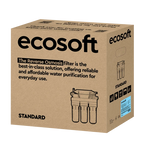 Filtru apă potabilă Ecosoft Standard PRO