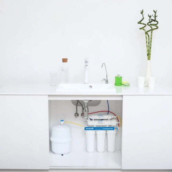 Sistem Ecosoft Standard PRO cu mineralizator